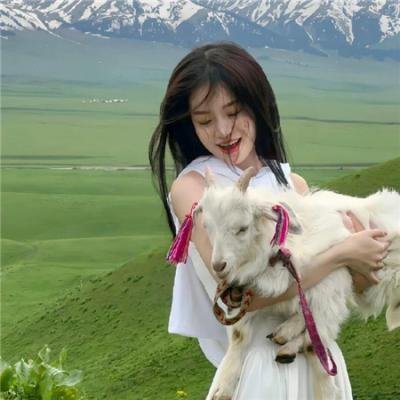 天降神犬2